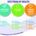 Spectrum of Health Delivers Comprehensive Insights to Health Programs ...